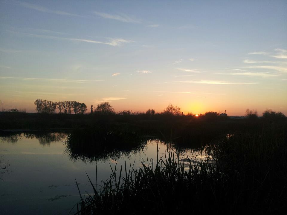 Pescuit - 30289443547280983385941382956n.jpg